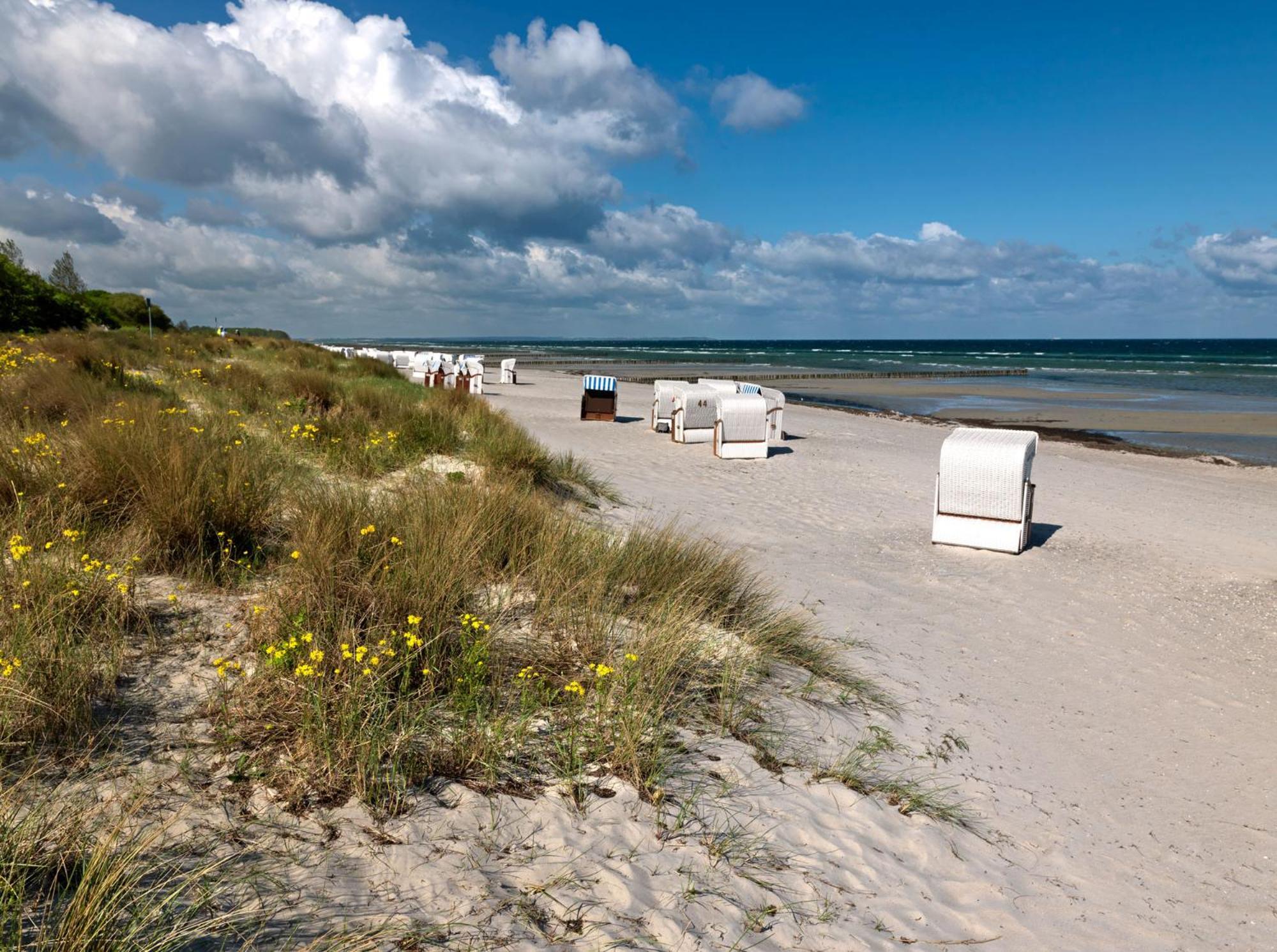 Luett Kajuet - Fip Park Lägenhet Insel Poel Exteriör bild