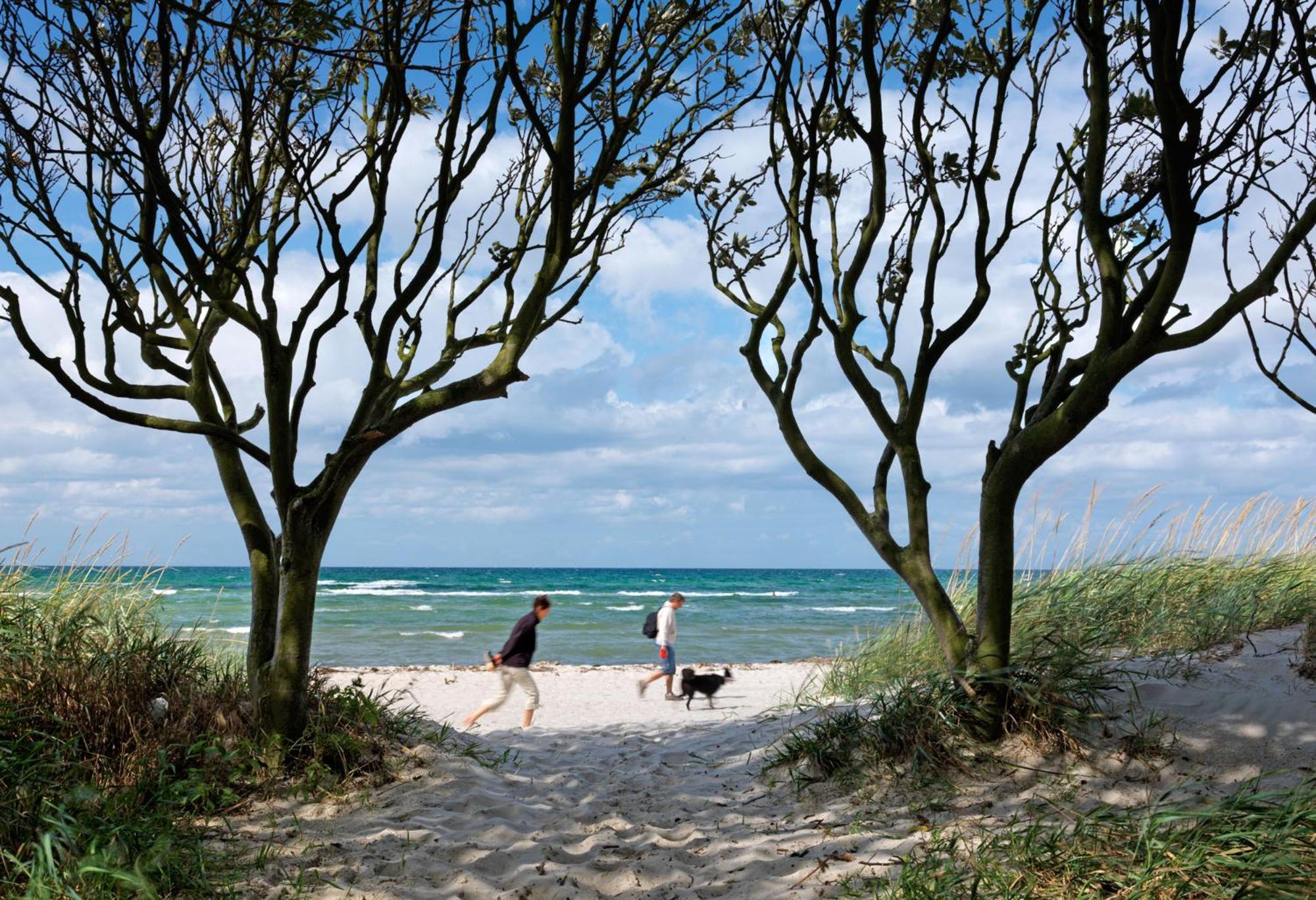 Luett Kajuet - Fip Park Lägenhet Insel Poel Exteriör bild