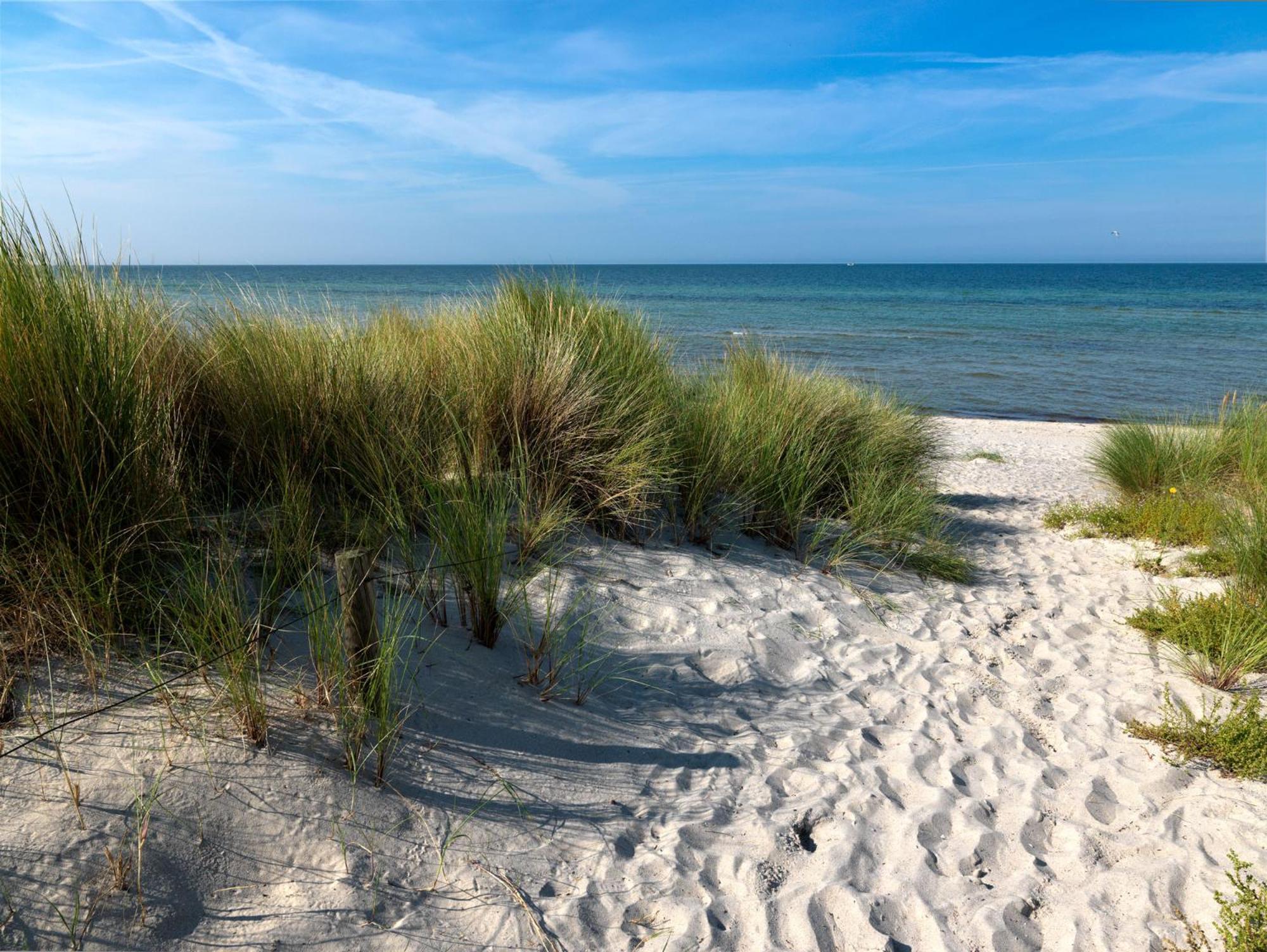 Luett Kajuet - Fip Park Lägenhet Insel Poel Exteriör bild