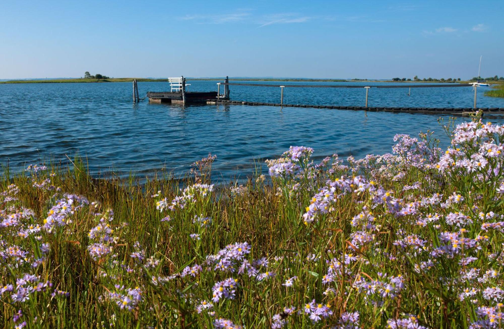 Luett Kajuet - Fip Park Lägenhet Insel Poel Exteriör bild
