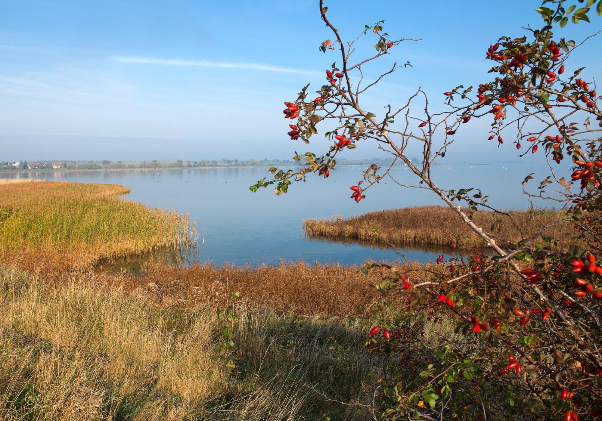 Luett Kajuet - Fip Park Lägenhet Insel Poel Exteriör bild